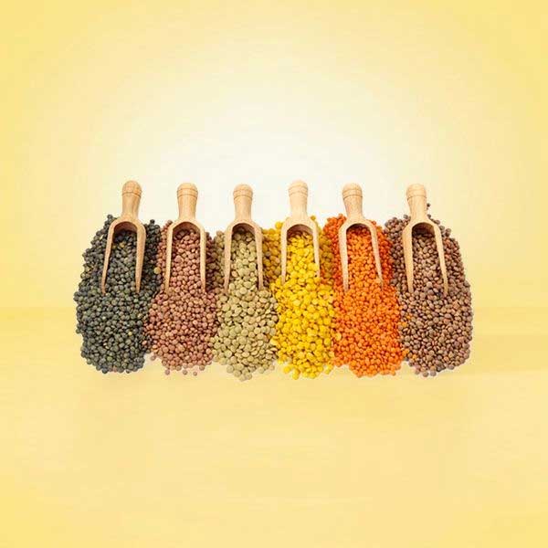 Lentil (Dal)