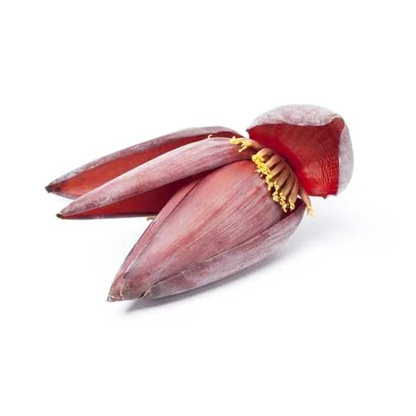 Banana Flower 1pic