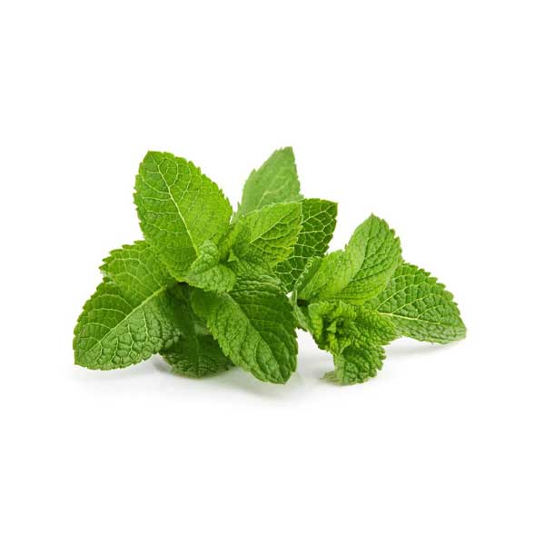 Basil Leaves /tulshi pata (100g)