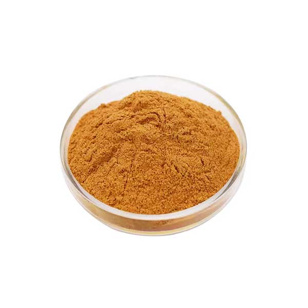 Cinnamon Powder (50g)