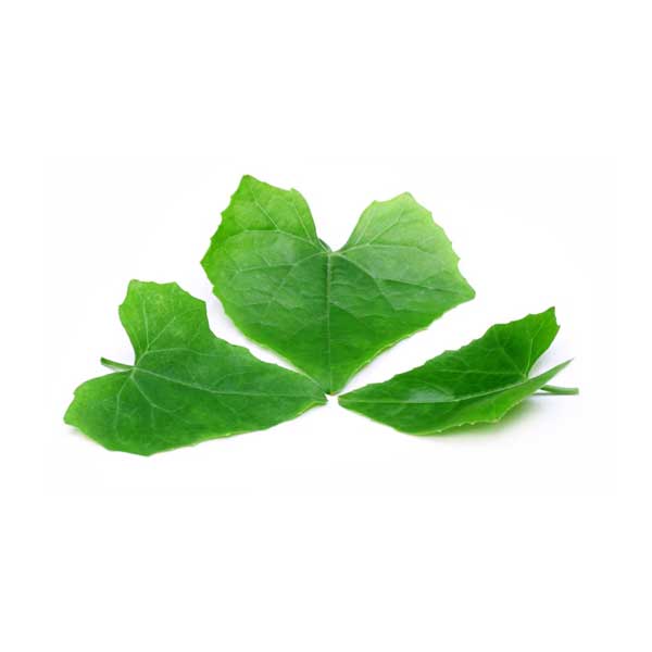 Coccinia তেলাকুচা পাতা ( 100g )