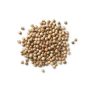 Coriander Whole (100g)