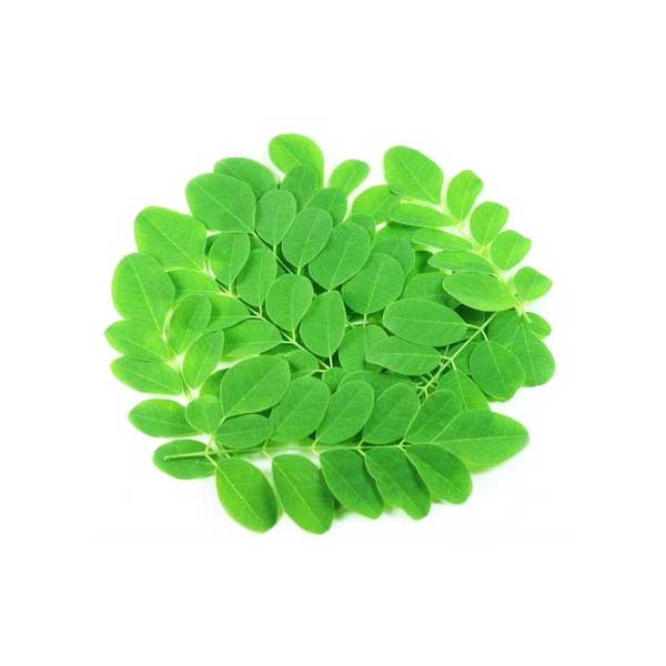 Drumstick leaves ( 100g )
