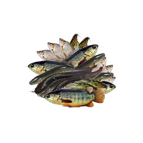Frozen Mix Fish (Bangladesh) (250gm)