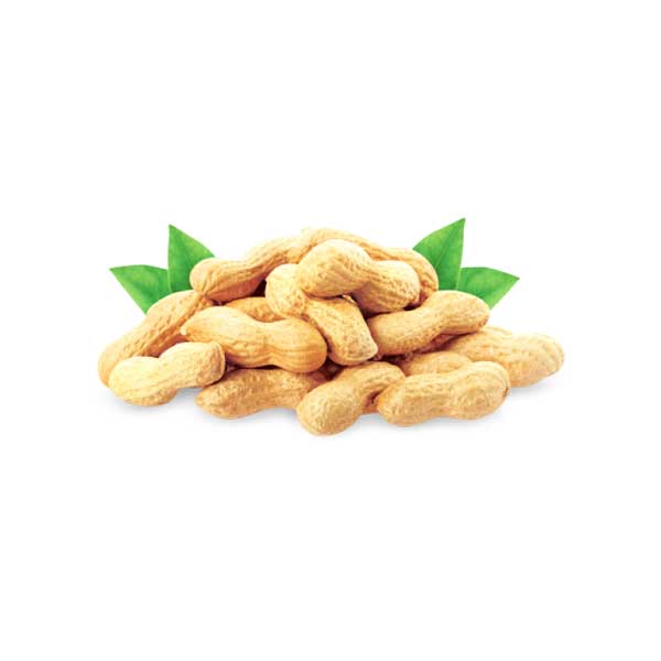 Kacha Badam ( 500g )