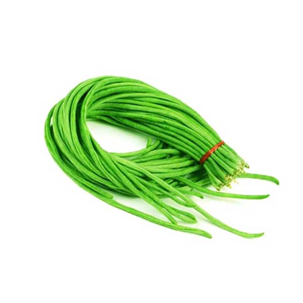 Koida 200g