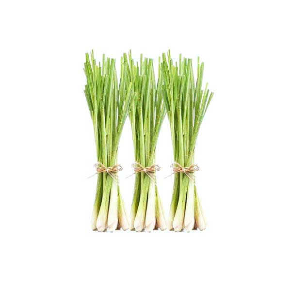 Lemon Grass (500g) Frozen