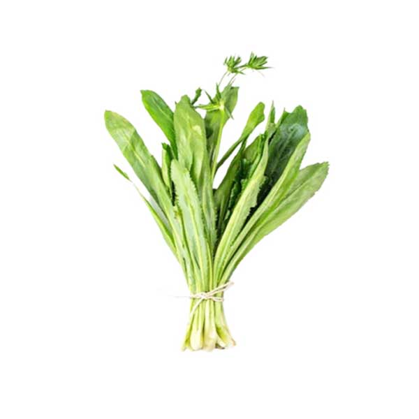 Long Coriander Leaves (Bilati Dhonia Pata) ( 100g )