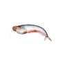 Pabda Fish (500g)Vishal