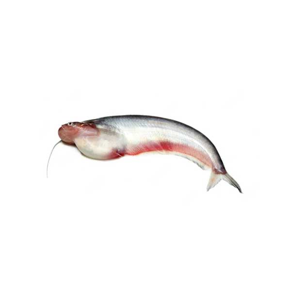 Pabda Fish (500g)Vishal