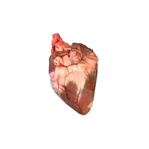 Sheep Heart (500gm)