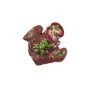 Sheep Kidney (500gm)
