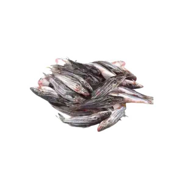 Tengra Fish (800g)