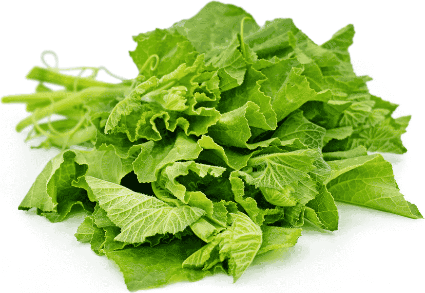 Pumpkin Leaf 200g